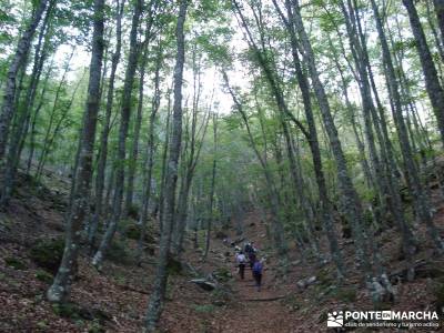 Montaña palentina;rutas fin de semana por españa rutas fin de semana largo